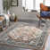 Aldusa Oriental Indoor Rug
