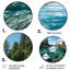 «Alaska Pristine Waters», art rond en métal-1348949913