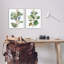 «Soft Eucalyptus Plant Ombre Leaves», ensemble de 2 giclées par Melissa Wang-2004379150-2004379151