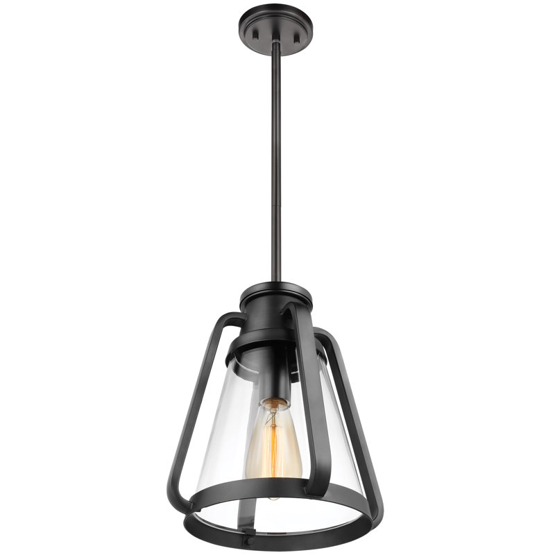 Iola 1 - Light Single Pendant, Matte Black, 11.88" H x 10" W x 10" D