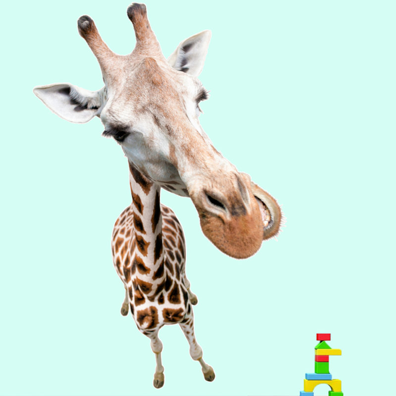 Animals Wall Decal, 70" H x 46" W