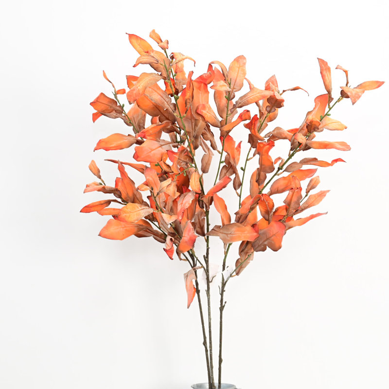 Branches de feuilles de pamplemousse 38 po