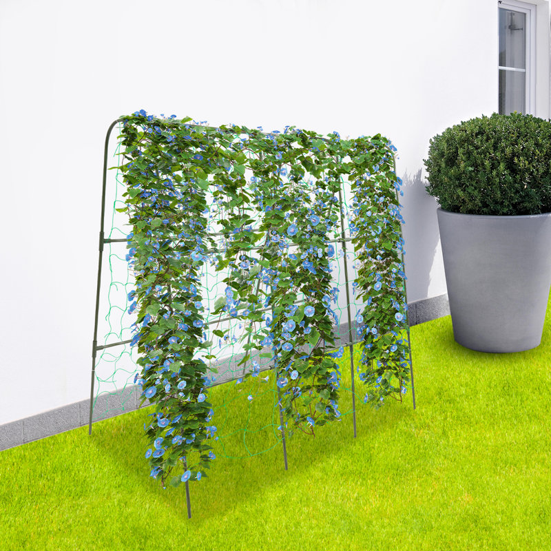 Treillis de jardin pour les plantes grimpantes