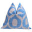 Square Pillow Cover & Insert