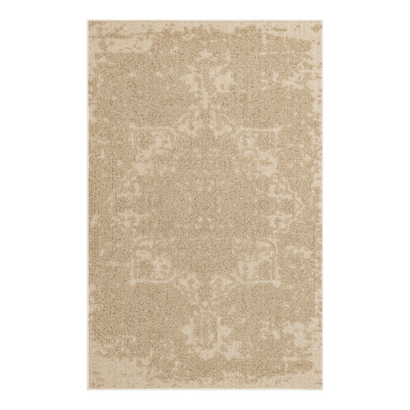 Indoor/Outdoor Traditional Area Rug, Rectangle 5'3" x 8'