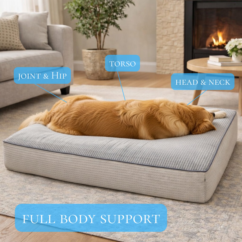 Farihah Striped Orthopedic Memory Foam Pet Bed, 24" H x 18" W x 4" D