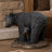 Dudey Bear Garden Statue