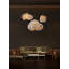 Barnacle 1 - Light Pendant