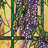 Plants & Flowers Window Decal