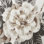 Schumacher x Veere Grenney Betty Wallpaper