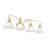 Aquala 4 - Light Dimmable Vanity Light-20317198