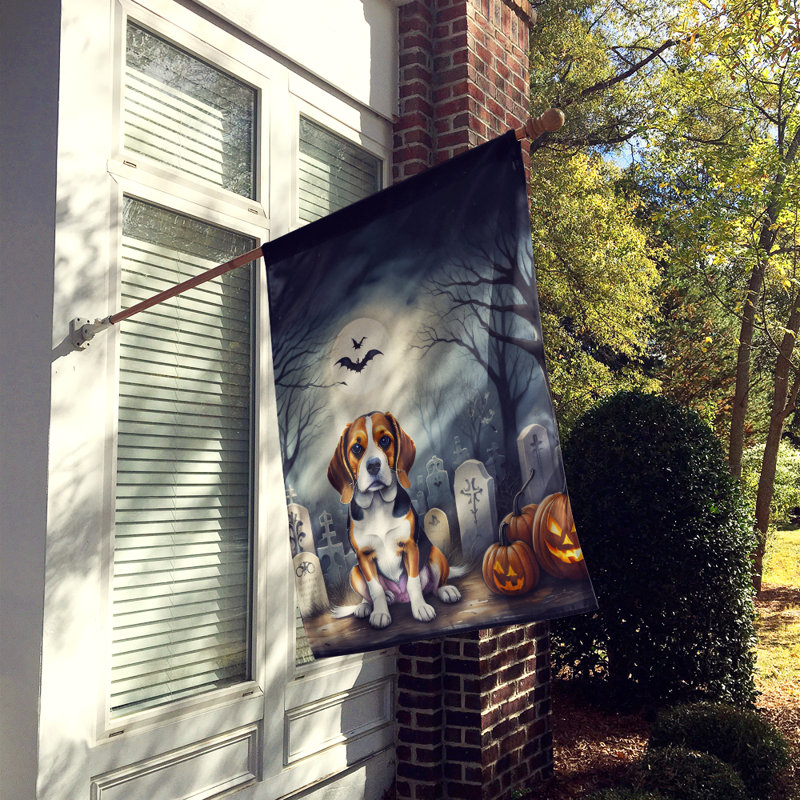 Drapeau de maison d'Halloween en polyester à double face H 40 po x l 28 po