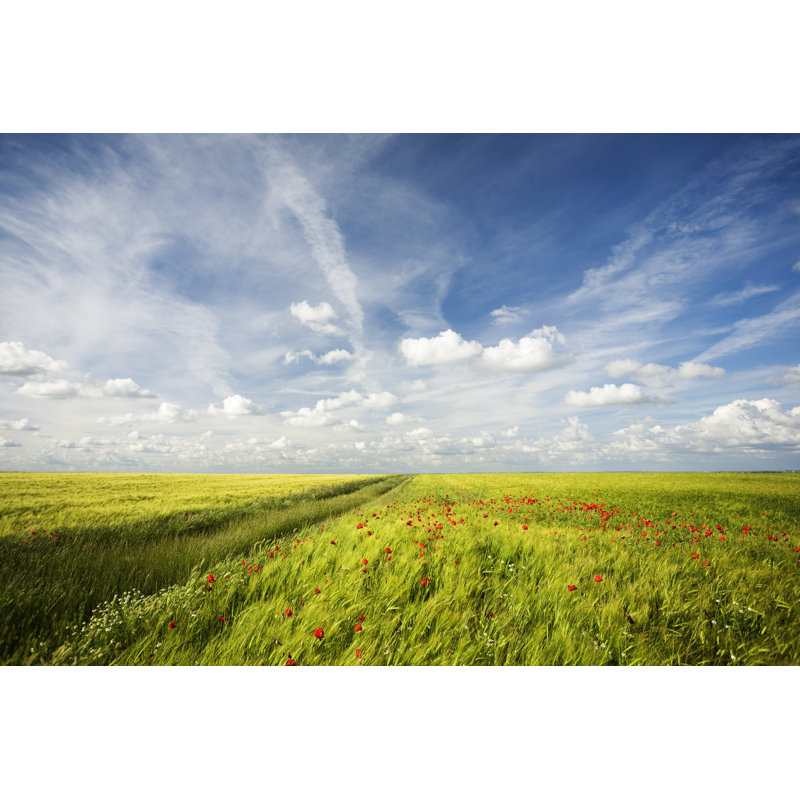 Spring Landscape 1 Piece Wrapped Canvas Wall Art, 20cm H x 30cm W x 3.8cm D