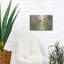 «Jardin de plantes grasses» par Silvia Vassileva-439409847