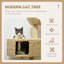 Arbre à chat pour chats d'intérieur-114286246-114286247