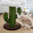 1 Tiers Cat Tree with Perch,Scratching Posts
