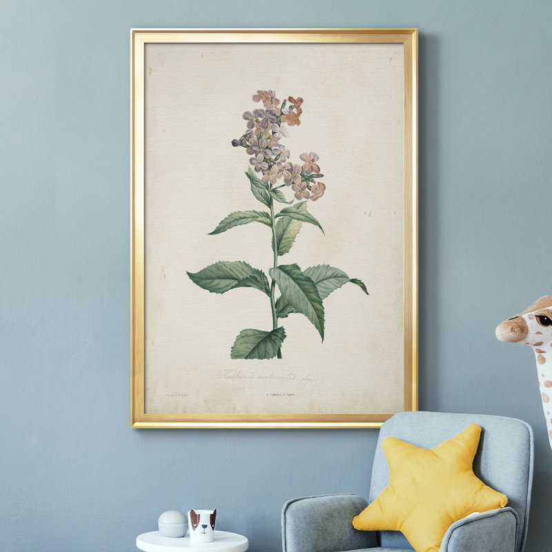 Toile encadrée de qualité supérieure Traditional Botanical II - prête à être accrochée, H 24,5 po x l 18,5 po x P 1 po, Or