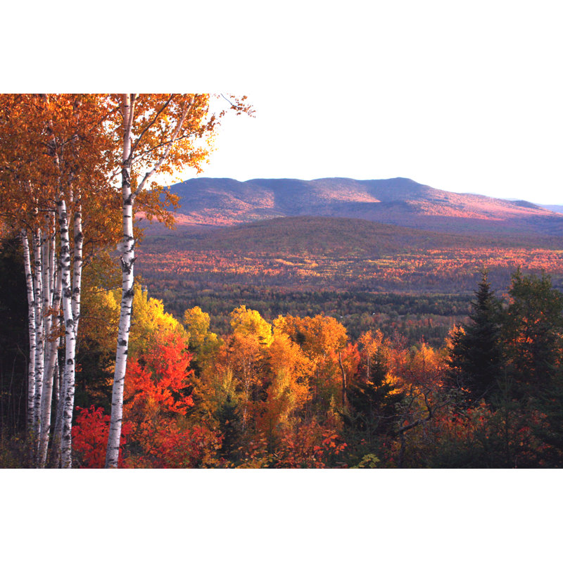 New Hampshire Fall Foliage - Wrapped Canvas Print, 30cm H x 46cm W x 3.8cm D