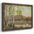 " Birch Stand "-96272043-96272044