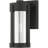 2 Light Outdoor Wall Lantern Pendant, Electrical Plated Smoke Glass Shade-101230963