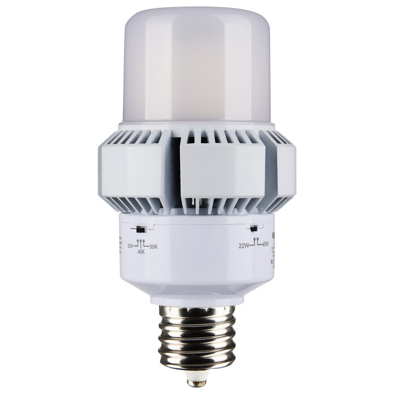 45 Watt White LED Bulb