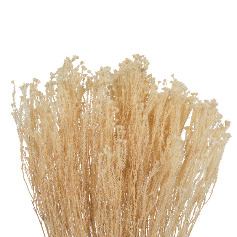 Natural Botanicals Staavia blanchi, 100 grammes par unité