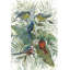 «Morning Birds III», reproduction sur toile-26600935