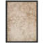 Art mural encadré à motif floral neutre, impression de style botanique rétro pour décor de maison de campagne ou de chalet-112374984-112374980