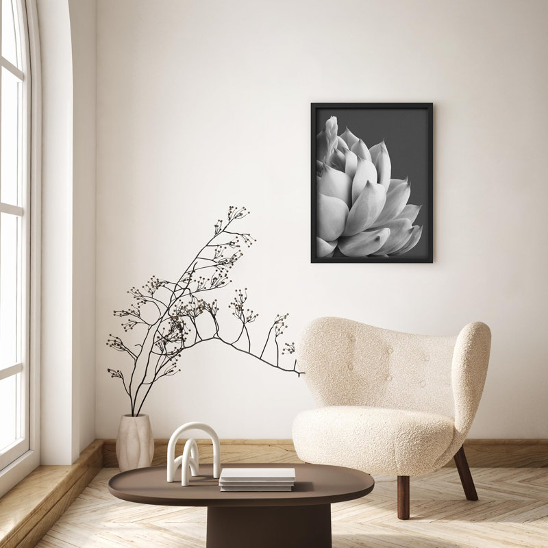 Illustration de petits espaces gris et gris de la plante grasse, Noir, H 14 po x l 11 po