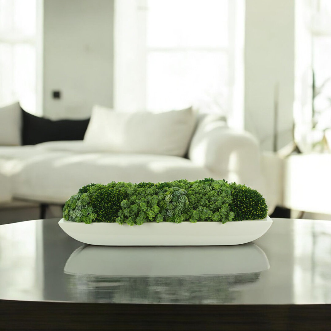 Jerez 6'' Faux Succulent Plant in Fiberstone Planter Freeport Park®