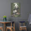«Panda Paradise» par William Vanderdasson-101450431