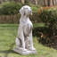 Hajrie Dog MGO Garden Statue
