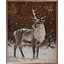 Reindeer Looking Left-1506989676