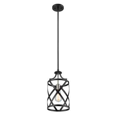 Luminaire suspendu cylindrique 1 lumière