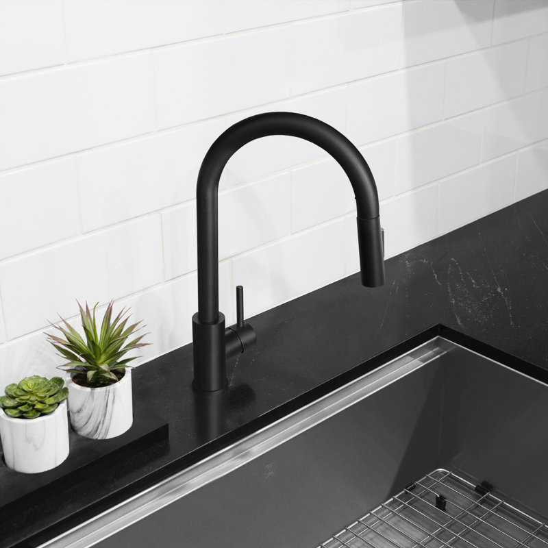 ZLINE Palisades Pull Down Single Handle Kitchen Faucet in Matte Black, Matte Black