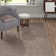 Jamelia Cotton Geometric Indoor Rug