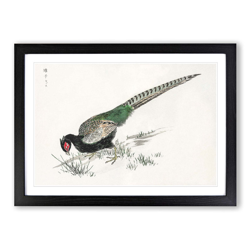 Green Pheasant by Numata Kashu - Picture Frame Painting Print, Black Framed, 36cm H x 48cm W x 2cm D
