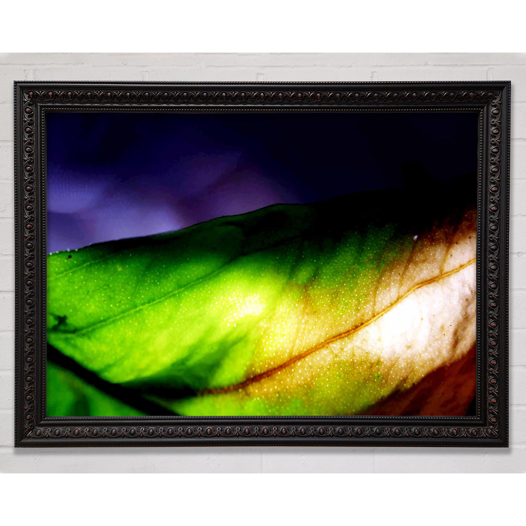 Vibrant Green Leaf Light - Einzelner Bilderrahmen Kunstdrucke