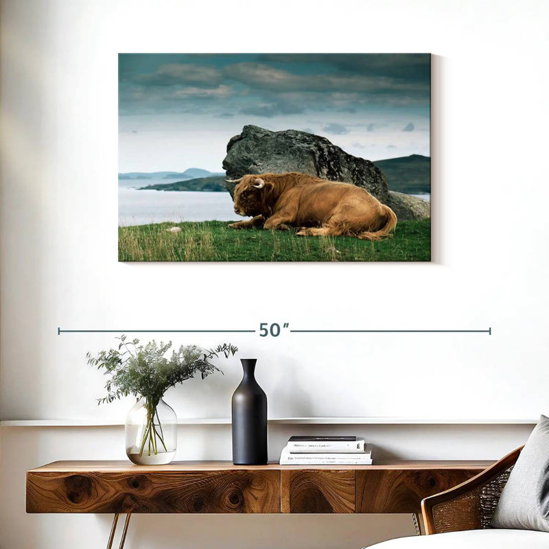 Brampt Highlander Bull, 24" H x 36" W