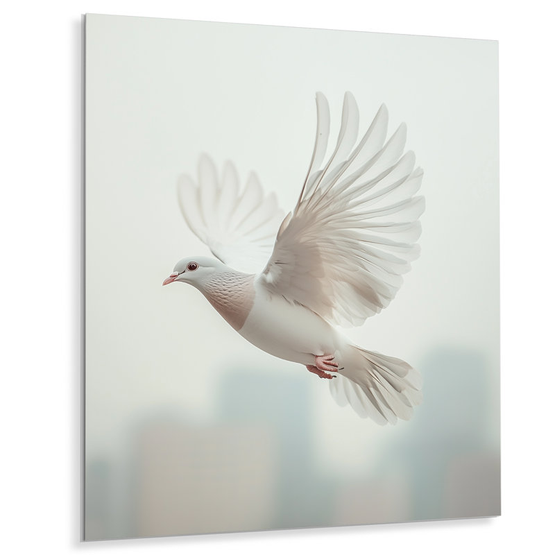 Colombe colombienne dans le ciel urbain - Colombe, H 40 po x l 30 po