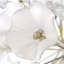 Clayton Glass Florets LED Chandelier