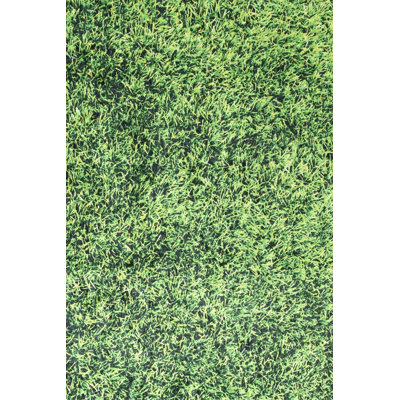 Antibacterial Non-Slip Area Rug, 100% Polyester, 47.2 x 70.9 inches | 0.16 in Pile Height, Machine Washable, Durable Felt Base | Perfect for Living Room, Bedroom, & Dining Room | Soft, Stylish, and Easy to Maintain