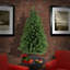 The Holiday Aisle® North Valley Spruce Tree-1548236846