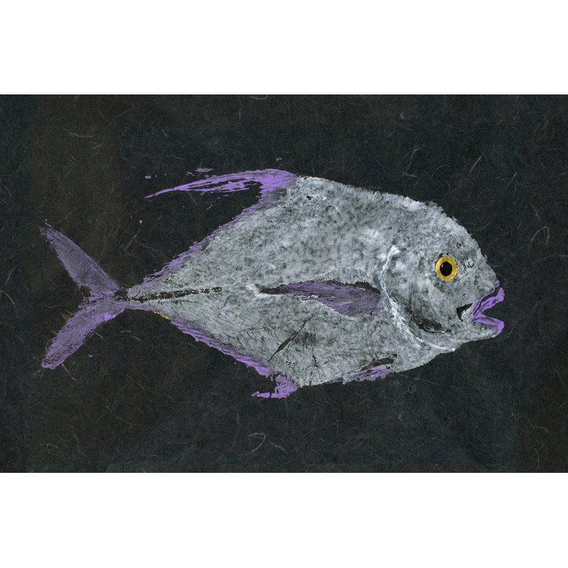 Pompano 1 Piece Wrapped Canvas Painting, 61cm H x 91cm W x 3.81cm D