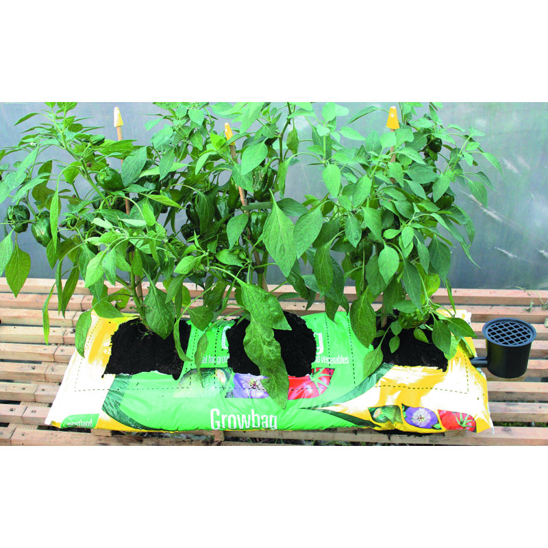 Plant Stand
