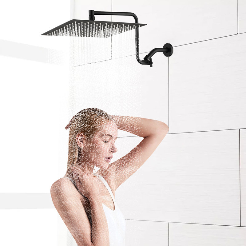 Pomme de douche en acier inoxydable 12 po avec bras d'extension réglable - échelle moderne