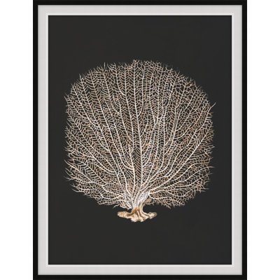 Timeless Relic 1 Print
