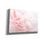 «Rose 2» par Photoinc Studio, art mural sur toile, 40 po x 26 po-1261445801
