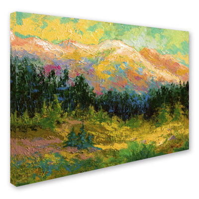 'Summer High Country' Print on Wrapped Canvas