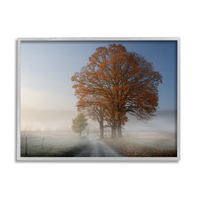 " Foggy Road Sycamore Tree " by Rick Berk